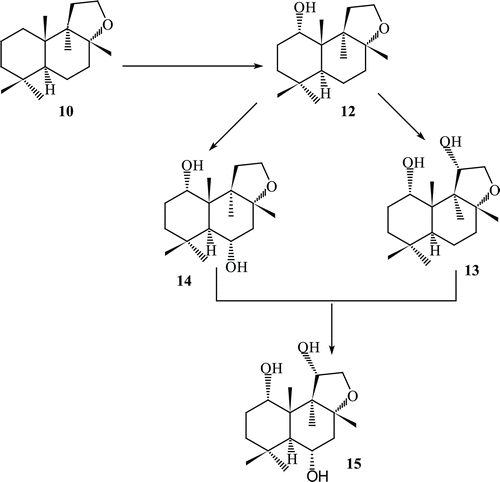 Scheme 3.  Metabolism of compound 10 by Fusarium lini.