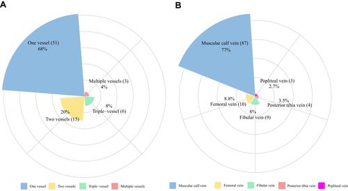 Figure 2 Distribution and probability of DVT in different low limb vessels. (A) The number of vessels involved with DVT. (B) Distribution of thrombus in different low limb vessels.