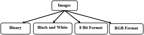 Figure 7. Classification of different types image storage formats.