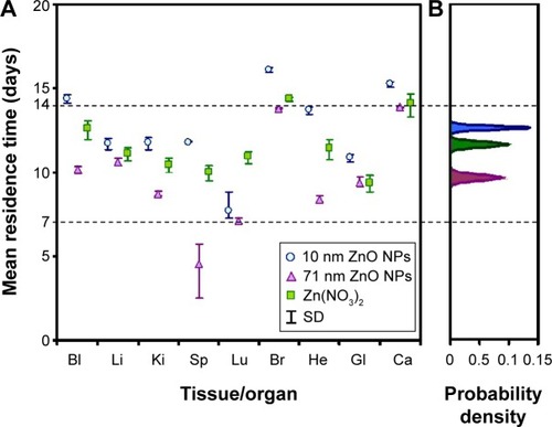 Figure 6 Tissue-specific mean residence times and probability density of 10 nm and 71 nm 65ZnO NPs and 65Zn(NO3)2 accumulations.Notes: (A) Tissue-specific mean residence times of 10 nm and 71 nm 65ZnO NPs and 65Zn(NO3)2 (range: 7–14 days) and (B) probability density distributions of mean residence times of 10 nm (blue) and 71 nm (purple) 65ZnO NPs and 65Zn(NO3)2 (green).Abbreviations: NP, nanoparticle; SD, standard deviation; Bl, blood; Li, liver; Ki, kidney; Sp, spleen; Lu, lung; Br, brain; He, heart; GI, gastrointestinal; Ca, carcass.