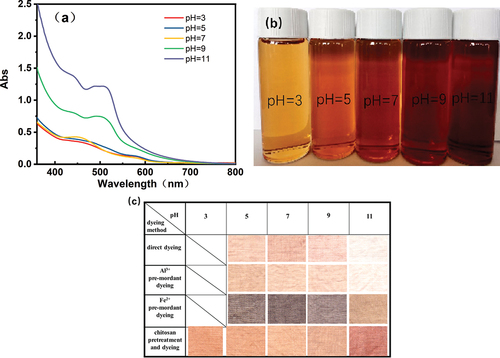 Figure 8. (A) the UV-vis absorption curves and (b) the images of the extracted liquid from PS with different pH value; (c) Images of the dyed flax fabrics with PSE at different dyeing pH.