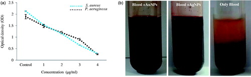 Figure 6. Biofilm inhibition results of silver nanoparticles against S. aureus and P. aeruginosa (a), Anticoagulant effect of silver and gold nanoparticles (b).