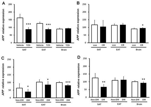 Figure 4. Relative expression of APP in the SAT, EAT, and brain, measured using quantitative real-time PCR. (A) TZD or vehicle-treated mice, (B) CR and control (con) mice, (C) streptozotocin-induced diabetic (DM) and non-DM control mice fed ND, and (D) streptozotocin-induced DM and non-DM control mice fed HFD. Data are presented in arbitrary units relative to GAPDH mRNA expression. Values are mean ± SD. Significant differences from control values are indicated as *p < 0.05, **p < 0.01, and ***p < 0.001.