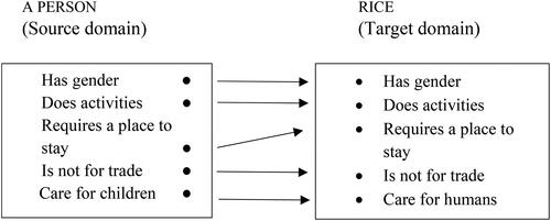 Figure 5. Metaphor mapping of rice as a person.