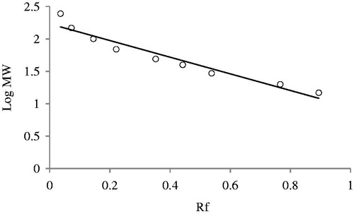 Figure 3. Standard Rf-Log MW graph for the determination of molecular weight of sheep liver DPD.