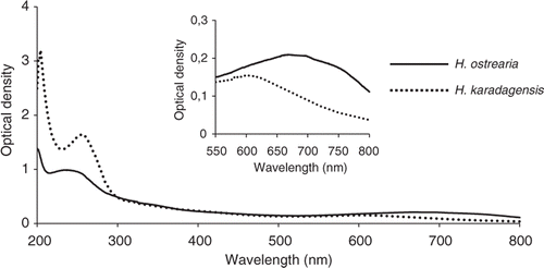 Fig. 12. Absorbance spectra, from 200 to 800 nm, of the pigments released into the medium by H. ostrearia and H. karadagensis. Inset: detail of the absorbance spectra from 550 to 750 nm, with expanded vertical scale.