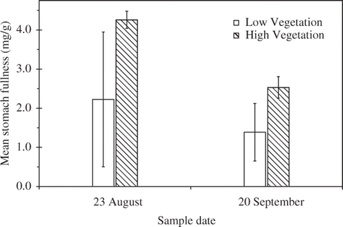Figure 3. Mean stomach fullness (mg dry prey biomass/g wet bluegill mass) of bluegill from high (712 ± 54.3 g m−2; hatched bars) or low (109 ± 21.0 g m−2; open bars) vegetation treatments over a 3-month experiment conducted in 0.4-ha ponds at the Sam Parr Biological Station to test the effects of vegetation biomass on growth of juvenile bluegill. Bars indicate 1 SE.
