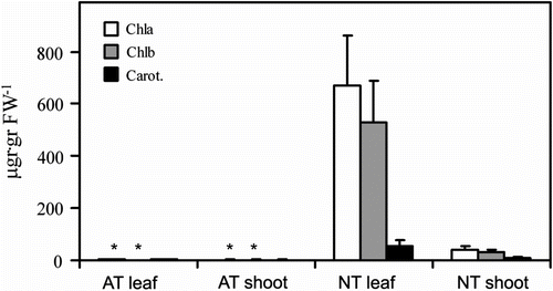 Figure 2 Pigment content in 7-week-old Erythrina crista-galli shoot and leaf. Chla = chlorophyll a; Chlb = chlorophyll b; Carot. = carotenoids; AT = albino type; NT = normal type. ∗ indicates AT data are significantly different to NT data.