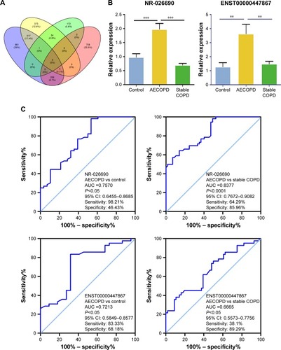 Figure 2 (A) Venn graph showed the overlap of differentially expressed lncRNAs between different groups. Yellow: upregulated lncRNAs in AECOPD vs control; purple: upregulated lncRNAs in AECOPD vs stable COPD; green: upregulated lncRNAs in stable COPD vs control; red: downregulated lncRNAs in stable COPD vs control. (B) Validation of the selected lncRNAs in CD4+ T cells in the AECOPD group compared with the stable COPD group and control by qRT-PCR. The relative expression levels of NR-026690 and ENST0000447867 are shown. **P<0.01, ***P<0.001. (C) ROC curve of lncRNAs. The diagnostic values of NR-026690 and ENST0000447867 are shown.