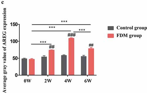 Figure 2. Continued