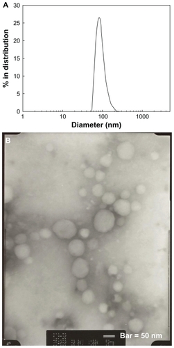 Figure 2 (A) Typical particle size measured by dynamic light scattering and (B) morphology of PLGA nanoparticles incorporating celecoxib (acetone, 40/5 in Table 1) observed by transmission electron microscopy.