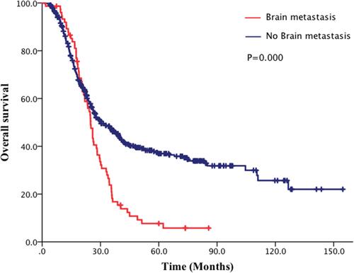 Figure 1 Comparison of overall survival (OS) of patients with limited-stage small cell lung cancer (LS-SCLC) between brain metastases group and no-brain metastases group.