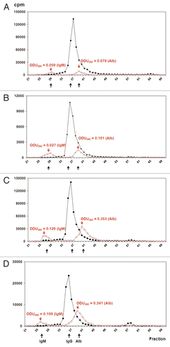 Figure 4 Analysis of the stability of cRFB4 constructs in mouse serum in vivo. (A) cRFB4: time 0 h; (B) cRFB4: time 24 h; (C) mcRFB4-H310A: time 0 h. (D) mcRFB4-H310A: time 24 h. Black line: measurement of radioactivity in cpm.; red line: measurement of the absorbance at 280 nm. IgM, immunoglobulin M; IgG, immunoglobulin G; Alb, albumin. This is one of two experiments.