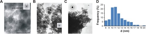 Figure 1 Transmission electron microscopy of MNPs and histogram of MNPs-NH2 size distribution.Notes: (A, B) TEM images and electron diffraction patterns (inset boxes) of MNPs and (C) MNPs-NH2·HCl. Scale bar =20 nm. (D) Histogram of MNPs-NH2 size distribution.Abbreviations: MNPs, magnetic nanoparticles; TEM, transmission electron microscopy; d, diameter.