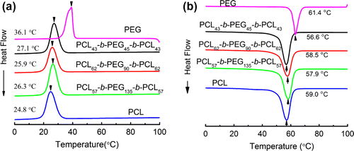 Figure 4. DSC plots of PCL-b-PEG-b-PCL during (a) cooling of melt and (b) heating.