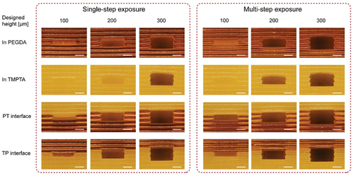 Figure 6. Comparison of vertical accuracy between single-step exposure and multi-step exposure method. Scale bars represented 200 μm.