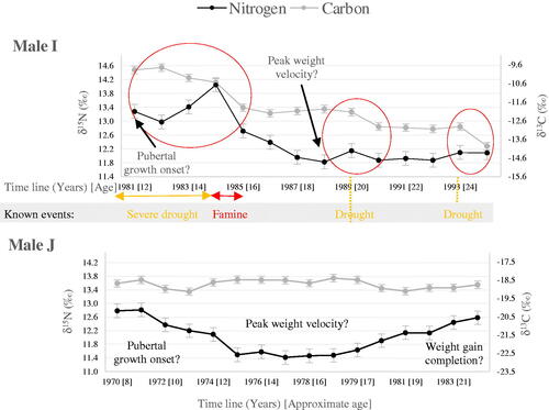 Figure 6. The proposed interpretation of δ15N and δ13C profiles over the time of M3 formation, in relation to pubertal growth, for the two men.