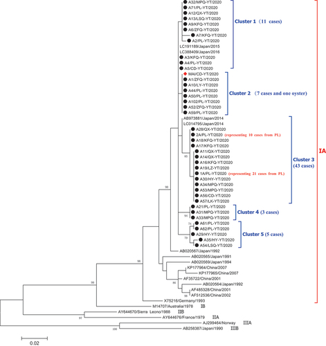 Figure 3. Phylogenetic analysis of the sequences for Hepatitis A virus based on the 336-nt of the VP1/2A junction (positions 2926–3261 of reference sequence M14707), representing 70 sequences from 69 cases and one sequence from an oyster in Yantai. HAV sequences from cases in this work are indicated with black circles. One sequence from an oyster is labeled a red triangle. For each sequence, the county or district (CD: Changdao; HY: Haiyang; KFQ: Kaifaqu; LK: Longkou; LSQ: Laishan; LZ: Laizhou; MPQ: Mupingqu; QX: Qixia; PL: Penglai; ZFQ: Zhifuqu), the city (YT: Yantai), and the isolation year (2020) are reported in the sequence ID. The tree was constructed with MEGA X software (http://www.megasoftware.net) by using the maximum-likelihood algorithm and the Jukes-Cantor model with 1,000 bootstrap replicates. Bootstrap values (%) >70 are indicated at branch nodes.
