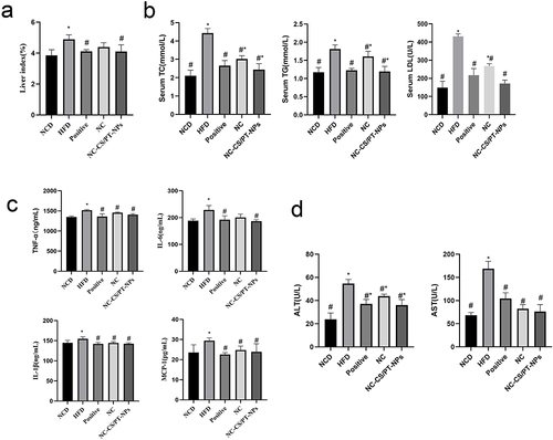 Figure 5 The Effect of NC-CS/PT-NPs on NAFLD Mice. (a) Liver Index of NAFLD Mice. (b) Serum TC, TG, LDL levels of mice in different groups. (c) TNF-α, IL-6, IL-β, MCP-1 levels in liver tissues of mice. (d) Serum ALT, AST levels of mice in different groups. Compared with NCD group, *p<0.05; compared with HFD group, #p<0.05.