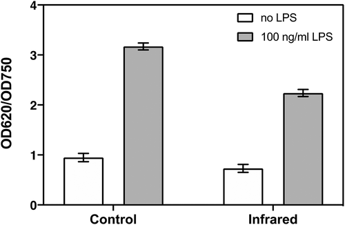 Figure 1. Induction of inflammation in HEK-TLR4 cells. HEK-TLR4 cell cultures were treated with or without 100 ng/ml LPS to induce inflammation as described (see Methods). The Control cell cultures (left panel) were subsequently maintained in the dark in the incubator for 48 hours without further intervention. The Infra-Red treated cells (which included both LPS induced and non-induced cultures) were exposed to 720 nm Infrared light pulses for 10 minutes at 6 W/m2, at 12-hour intervals over a two day growth period(right panel). The inflammatory response (OD620/OD750) was quantified as the absorbance of the QUANTI-Blue SEAP substrate at 620 nm. normalized to the total protein concentration(absorbance at 750 nm)(see Methods). Infrared light was successful in reducing inflammation in LPS – stimulated (Grey Bars) but not unstimulated control cells (White Bars). Data are shown as the mean ± SE taken from five individual wells of one representative biological experiment