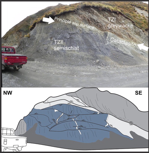Figure 14. Photograph and sketch interpretation of fault outcrop at Mt. Dobson ski field road (see Figures 1, 15 for location). Displaced quartz veins and cataclasite indicate predominantly southeast-dipping reverse motion in a zone of complex faulting. The fault juxtaposes TZI (Torlesse greywacke) and TZII (semischist, undifferentiated) rocks.