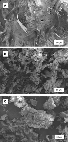 Figure 8. SEM images of (A) urea, (B) kaolinite and (C) urea–kaolinite after 1 h dry grinding.