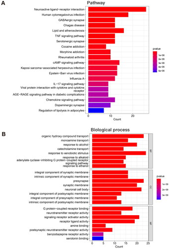 Figure 6. GO and KEGG pathway enrichment analysis of the overlapping target proteins. (A) The top 10 pathways in the KEGG pathway analysis of the overlapping target proteins; (B) The top 10 biological process terms in the GO enrichment analysis of the overlapping target proteins.