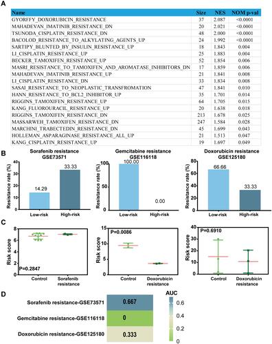 Figure 8 The TME-related signature can be served as a potential predictor for sorafenib resistance in LIHC. (A) The relationship between the TME-related signature and therapeutic resistance in LIHC using GSEA analysis. (B) The resistance rate of sorafenib, gemcitabine and doxorubicin in low and high groups stratified by risk scores in each dataset. (C) The distribution of the risk scores among patients grouped by resistance status in each dataset. (D) The heat map of AUC values of the risk score in predicting drug resistance using ROC curves.