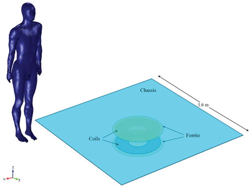 Figure 17. Human body model and representative wireless inductive charging system.