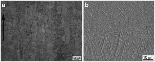 Figure 6. (a) Optical micrograph of Ti-6Al-4V part built in a vertical direction. (b) High-magnification scanning electron microscopy (SEM) image showing α’-martensite needles formed from the columnar β grains [Citation33].