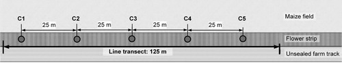 Figure 2. Diagram of the research design (C1–C5: 5 camera locations).