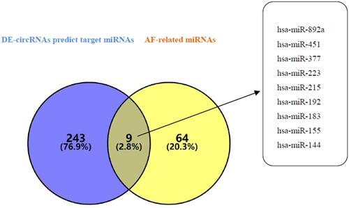 Figure 2 Venn diagram analysis of DECs predict target miRNAs and AF-related miRNAs. The blue circle represents the DECs predict target miRNAs, and the yellow circle represents the AF-related miRNAs. The intersection of the two circles represents the overlapping miRNAs between the two kinds of miRNAs, and the specific miRNA names are listed in the right box.
