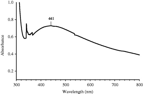 Figure 2. UV-vis spectra of synthesized AgNPs.