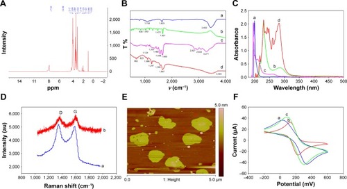 Figure 1 Characterization of rGO-PAMAM-Fc nanomaterials.Notes: (A) 1H NMR spectrum of PAMAM. (B) FT-IR spectra of (a) rGO, (b) Fc, (c) PAMAM, (d) rGO-PAMAM-Fc nanomaterials. (C) UV–vis spectra of (a) rGO, (b) Fc, (c) PAMAM, (d) rGO-PAMAM-Fc nanomaterials. (D) Raman spectrum of (a) rGO, (b) rGO-PAMAM-Fc nanomaterials. (E) AFM of rGO-PAMAM-Fc nanomaterials. (F) Cyclic voltammogram response of various electrodes: (a) bare GE, (b) MEA/GE, (c) rGO-PAMAM-Fc/MEA/GE from −0.2 to 0.6 V with a scan rate of 100 mV/s in PBS containing 5 mM [Fe(CN)6]3−/4−.Abbreviations: AFM, atomic force microscope; Fc, ferrocene; GE, gold electrode; NMR, nuclear magnetic resonance; NPs, nanoparticles; PAMAM, polyamidoamine; rGO, reduced graphene oxide; UV, ultraviolet.