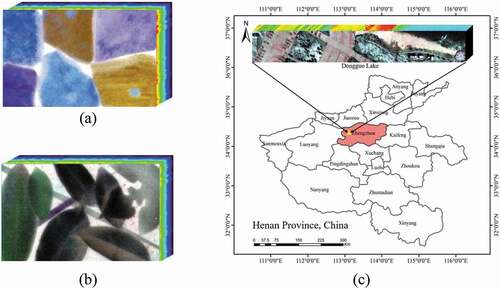 Figure 2. The three datasets (a) Mineral dataset. (b) Tree leaves dataset. (c) Dongguo Lake dataset.