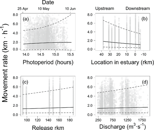 FIGURE 3. Mean (solid line) and 95% CI (dashed lines) predictions from parameters of the generalized linear mixed-effects model used to relate movement rate of acoustically tagged Atlantic Salmon smolts in the Penobscot River estuary in 2005–2013 to (a) photoperiod, (b) location in the estuary (rkm), (c) release distance upstream of the estuary (rkm), and (d) discharge experienced during estuary migration.