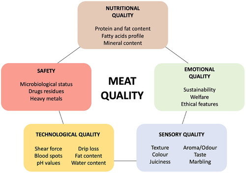 Figure 1. Meat quality parameters: five main domains.