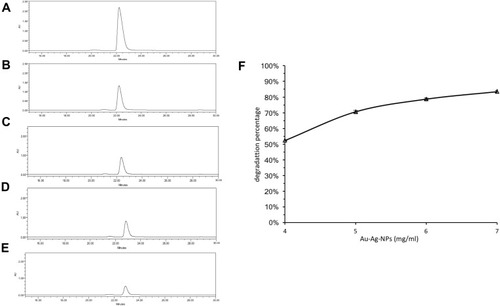 Figure 6 Degradation of MG dye by bimetallic NPs.Notes: (A–E) HPLC spectra of MG degradation by (A) ultra-pure water (control); (B) 4 mg/mL Drp-Au-AgNPs; (C) 5 mg/mL Drp-Au-AgNPs; (D) 6 mg/mL Drp-Au-AgNPs; (E) 7 mg/mL Drp-Au-AgNPs. The main peaks were corresponding to MG. (F) Degradation percentage of 100 mg/mL MG at treatment of different concentrations of Drp-Au-AgNPs. Values are the mean and standard deviation of three independent experiments. The bimetallic NPs exhibited up to 83.68% of MG degradation at the treatment of NPs (7 mg/mL). Abbreviations: NPs, nanoparticles; MG, malachite green; Drp-Au-AgNPs, D. radiodurans protein extract-mediated gold-silver bimetallic nanoparticles; D. radiodurans, Deinococcus radiodurans.