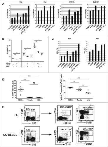 Figure 5 (See previous page). LLT1 expression by B-cell lymphoma inhibits NK cell functions. Polyclonal NK cells were incubated with the following lymphoma cell lines (A, C) Raji, (A,B) SUDHL4 in the presence or absence of blocking mAbs as indicated. (A) NK cell degranulation assessed by expression of CD107a on the cell surface. (B) NK cell cytotoxicity toward SUDHL4 in the presence or absence of indicated antibodies. n = 3 to 6, **, p < 0.01 Mann–Whitney U-test. (C) Intracellular secretion of IFNγ detected by flow cytometry staining. (A, C) Data are representative of 3 to 6 independent experiments. (D) Frequency of CD56+CD3−NK cells (left panel) and CD161+ cells among NK cells (right panel) in PBMCs, tonsils and NHL patients including 4 FL and 3 GC-DLBCL. n = 7, ***, p< 0.001, **, p< 0.01, Mann–Whitney U-test. (E) Representative expression of CD161 in CD56+CD3−NK cells and CD3+ T cells.