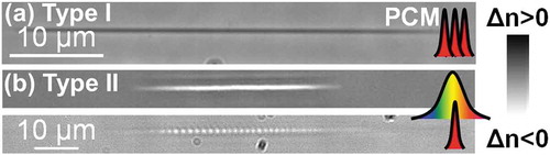 Figure 3. Structuring regimes in bulk fused silica under Bessel ultrafast laser irradiation illustrated with phase contrast microscopy images. The relative refractive index scale is given, with black and white color meaning positive and negative index changes respectively, with respect to the initial refractive index value. (a) regime of positive refractive index change (type I) in ultrafast (60 fs) multipulse cumulative regimes for moderate focusing conditions (θglass≃8∘). (b) regimes of type II negative index change; uniform and fragmentation modes in single pulse regimes (θglass≃15∘) for the achieved structures. To avoid intensity clamping, tight focusing or dispersion engineering can be used [Citation46,Citation92], employing respectively ultrashort and short pulses.