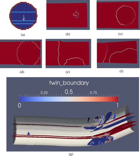 Figure 4. Dislocation dynamics in one twin lamella plane: (a) side view of Figure 3(c). The twin plane to be shown is indicated by white arrows. The colors are same as that in Figure 3(b–f) top view of a dislocation loop nucleation, expansion and annihilation process in the indicated twin plane during mechanical loading. Only right top of the nanowire and dislocations on the twin boundary are shown. (g) DXA analysis of Figure 3(g). Planar defects and dislocations are shown. The defects analysis is performed by DXA [Citation49] and open-source software Paraview [Citation66] which are dedicated for visualization. Red plane: twin boundary; blue plane: stacking fault; white tube: dislocation line.