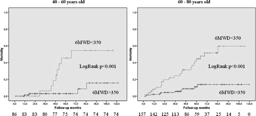 Figure 3  Kaplan-Meier Survival curves for COPD women that walked > or < 350 m divided in two age categories: 40–60 years old and 60–80 years old.