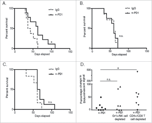 Figure 2. Treatment with α-PD1 induced short but not long-term transferrable protective immunity. Kaplan–Meier curve showing survival benefits of adoptively transferring total splenocytes obtained from tumor-bearing donor mice at (A) day 3, (B) 7, or (C) 28 after single-dose treatment with α-PD1 (day 3: n = 9; 7: n = 8, 28: n = 8) or IgG isotype control (day 3: n = 8; 7: n = 7, 28: n = 6) into cyclophosphamide pre-conditioned tumor-bearing recipient mice. (D) Mice received α-PD1 (n = 8) alone or in combination with depletion antibodies: α-Gr1+α-NK (n = 7) or α-CD4+α-CD8+ (n = 8). Statistical significance was calculated using non-parametric Mann–Whitney test. Results are expressed as percentage of change in bioluminescence signal intensity by measuring luciferase activity using IVIS at day 0 versus day 15. Each symbol represents an individual mouse. Plots are showing the combined results of at least two independent experiments. N.S. = not significant, *p < 0.05.