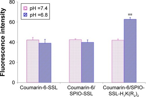 Figure 3 The flow cytometric measurement.Notes: Flow cytometric measurement of coumarin-6 uptake from coumarin-6-SSL, coumarin-6/SPIO-SSL, or coumarin-6/SPIO-SSL-H7K(R2)2 by MDA-MB-231 cells (n=3). **p<0.01 versus that at pH 7.4.Abbreviations: SPIO, superparamagnetic iron oxide; SSL, sterically stabilized liposome.