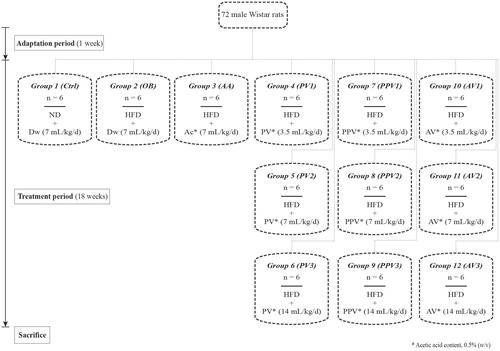 Figure 1. Study flowchart explaining the various groups of rats and treatments. ND: normal chow diet; HFD: high-fat diet; Dw: distilled water; Ac: acetic acid; PV: pomegranate vinegar; PPV: prickly pear vinegar; AV: apple vinegar.