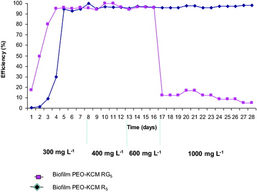 Figure 3. Efficiency of phenol biodegradation by biofilters PEO-KCM R5 and PEO-KCM RG5. Biofilms were treated for 28 days with different phenol concentrations: 300 mg·L−1 (1–7 day), 400 mg·L−1 (8–12 day), 600 mg·L−1 (12–16 day) and 1000 mg·L−1 (17–28 day).