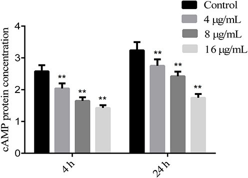 Figure 5 Effects of SK on the production of cAMP protein of C. albicans SC5314 biofilms.