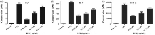 Figure 4. Inhibition of the cytokines production by compound 3h. RAW 264.7 cells were pretreated with compound 3h at concentration of 10, 5, and 2.5 μM for 1 h and treated with LPS (1 μg/mL) for 24 h. (A) NO production was measured using nitrite and nitrate assay. (B and C) TNF-α and IL-6 levels in the medium were determined with an ELISA kit. ###p<.001 compared with control group; **p<.01 and ***p<.001 compared with LPS treated group.