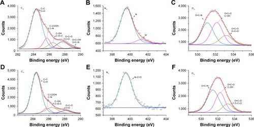 Figure 7 XPS analyses of the core level of C1s (A and D), N1s (B and E) and O1s (C and F) of Drp-AuNPs (A–C) and Drp-AgNPs (D–F).Abbreviations: XPS, X-ray photoelectron spectroscopy; Drp-AuNP, D. radiodurans protein extract-mediated gold nanoparticle; Drp-AgNP, D. radiodurans protein extract-mediated silver nanoparticle; D. radiodurans, Deinococcus radiodurans.