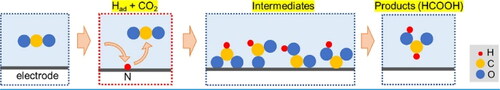 Figure 5. Proposed reaction pathways of CO2RR at low overpotentials. Figure by Y. Miyake, et al./CC by 4.0 [Citation11].